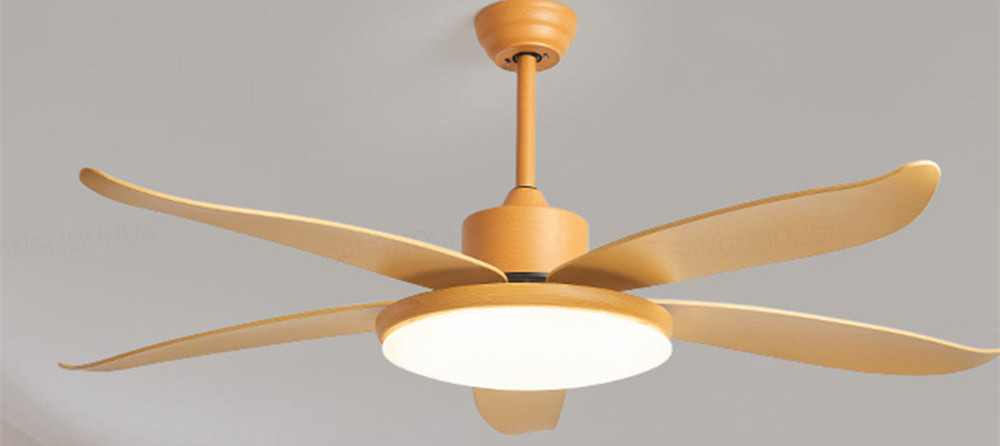 collection-banner-image