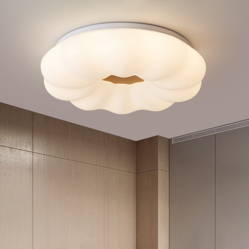 Flush Mount Ceiling Light