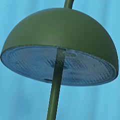dettaglio1.gif__PID:efbe07f8-4c37-47af-acc3-dab884fc9129