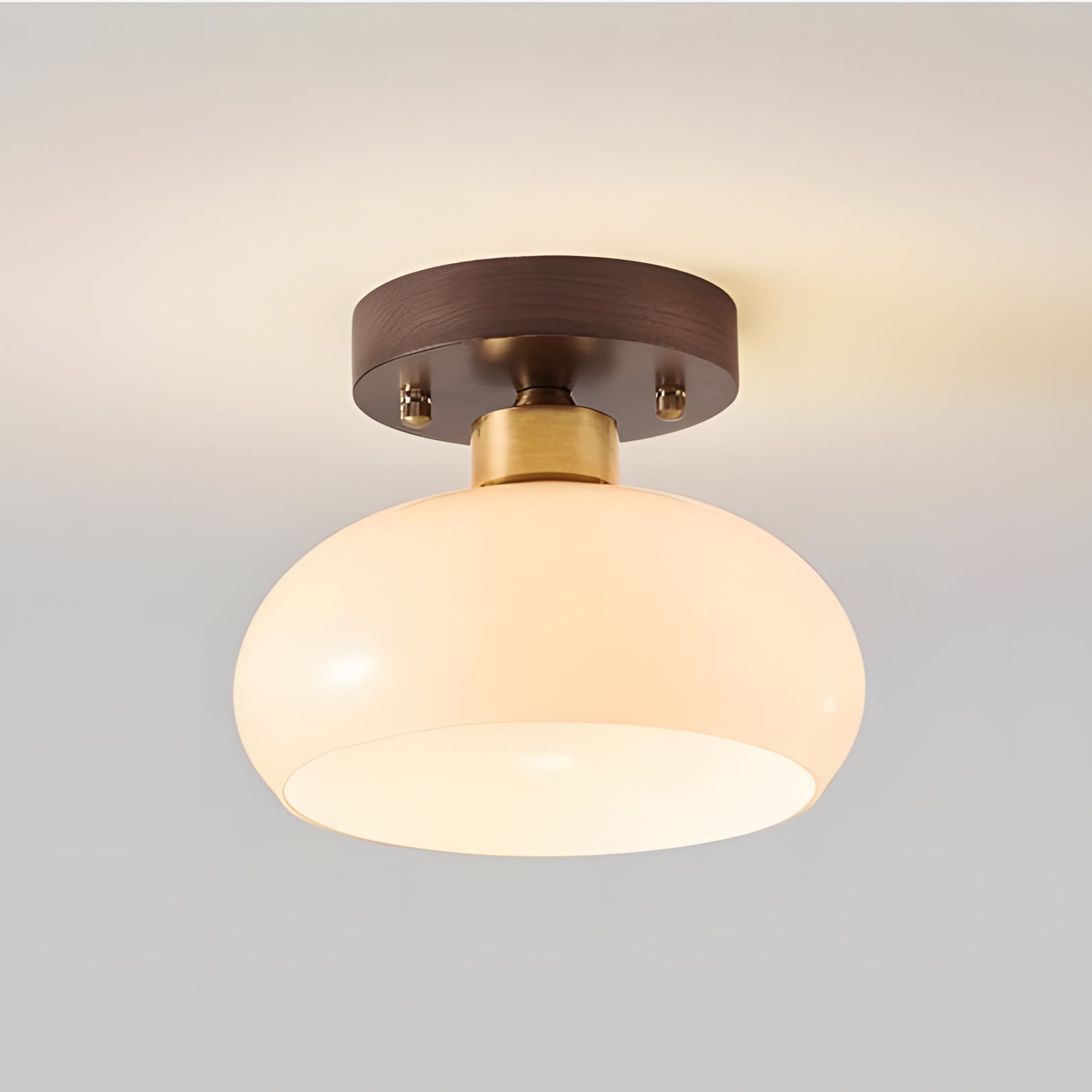 Lampada da soffitto in vetro a cupola bassa minimalista Otis 11.webp__PID:eccfbf2a-934a-40d1-ae31-19c5111dd148