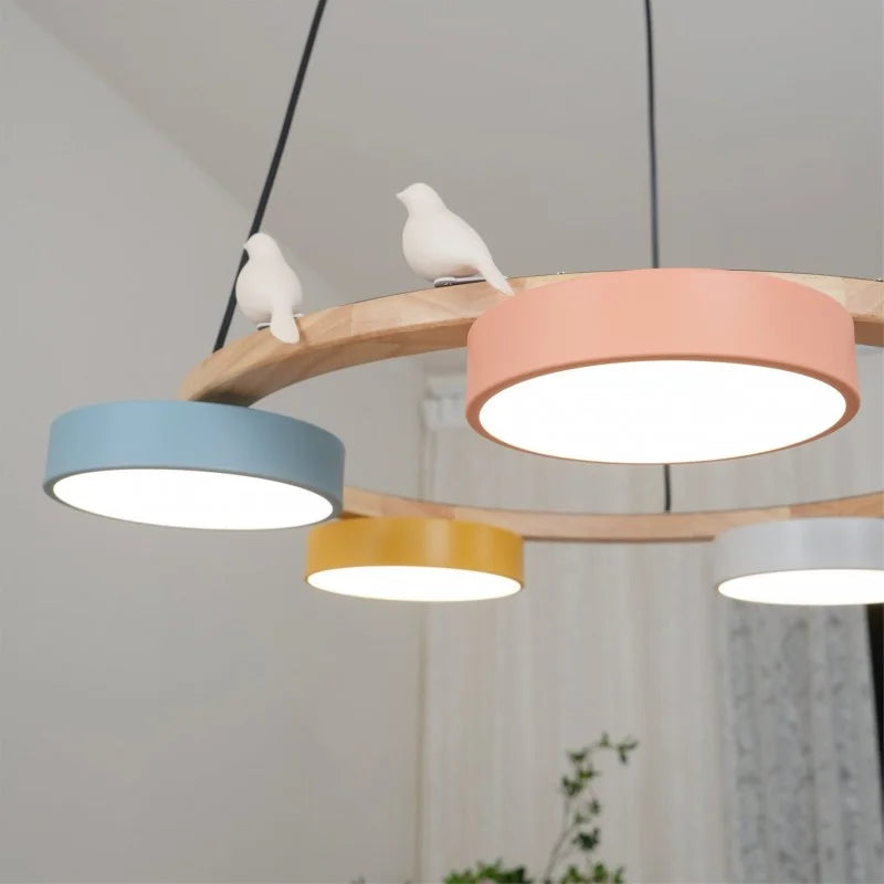 Cadmus-Macarons-Bird-Woon-Round-Chandelier (20).webp__PID:095527c5-4f9e-42f2-b2c4-78a23145166d
