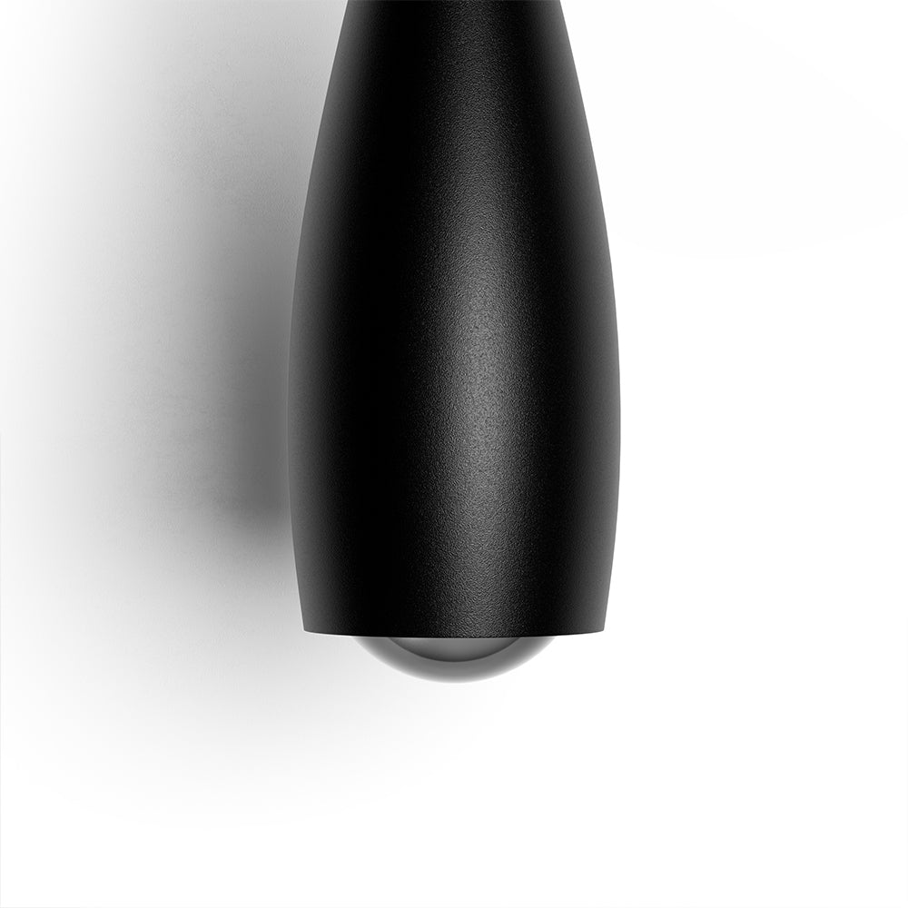 Fleur-têtenoire.jpg__PID:490747d7-7f1e-43be-8dc4-19ff91a4c1e5