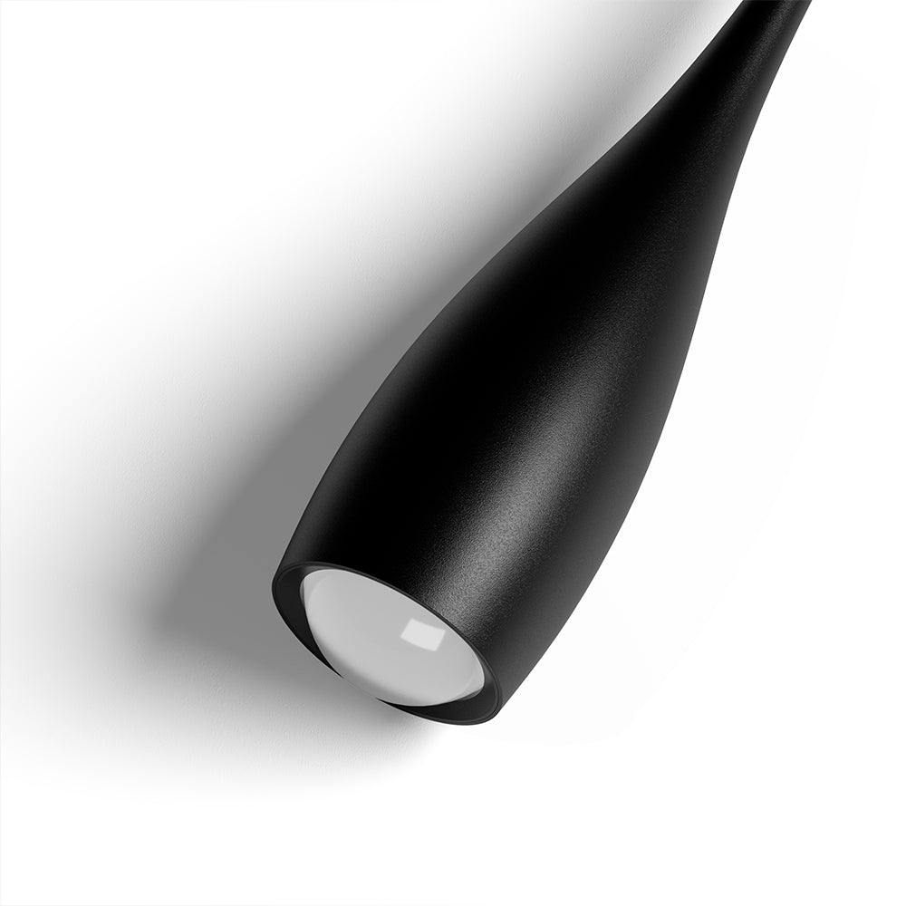 Fleur-capitule.jpg__PID:98490747-d77f-4ef3-be0d-c419ff91a4c1