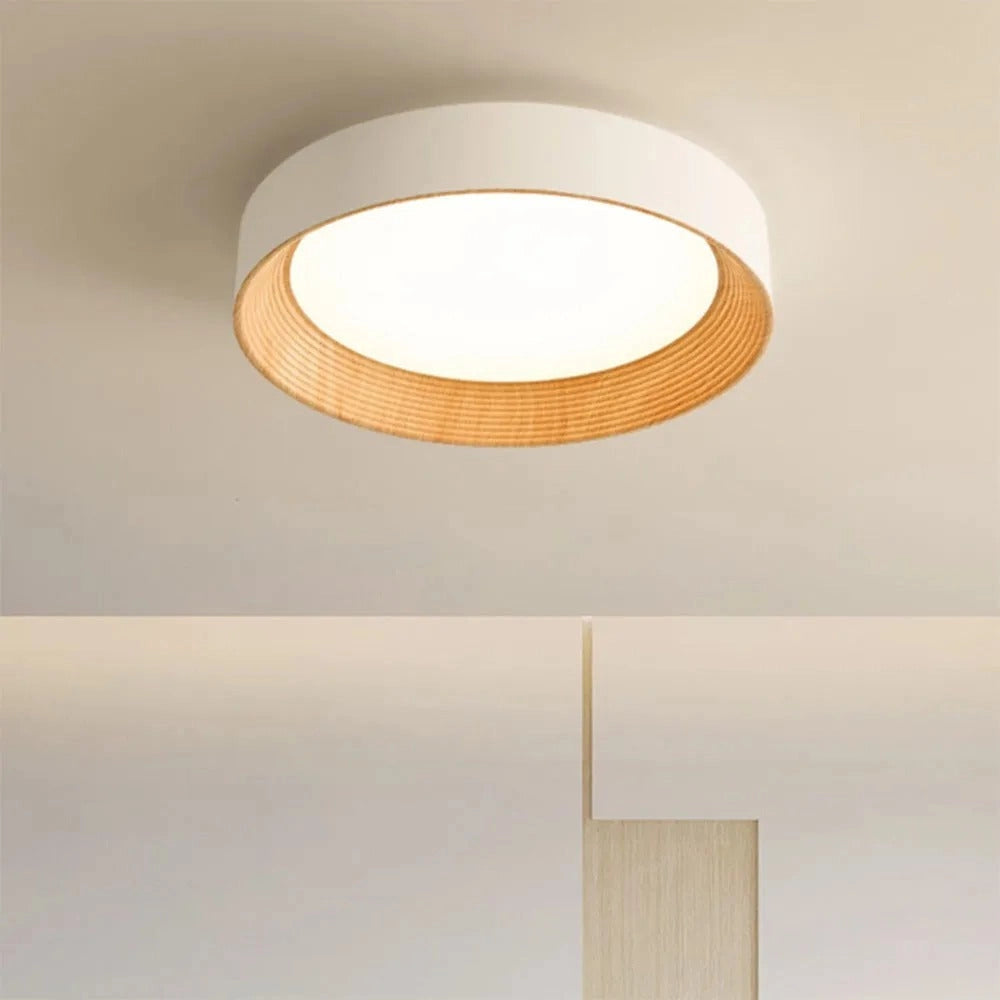 Ronan_Modern_Round_Ceiling_Light (5).webp__PID:55cc2b7b-5559-4dc3-a9f6-e43b8e1644f4