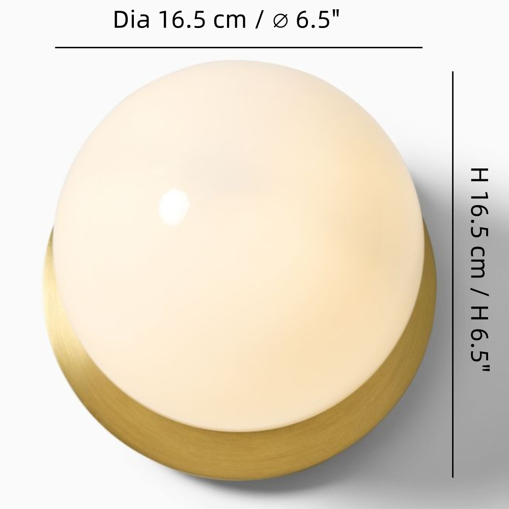 Rowan Minimalist Globe Glass Wall Sconce2_副本.webp__PID:f448bea8-3a80-428d-8953-2fa41865adad