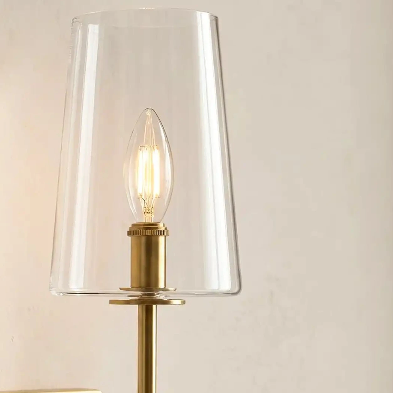 Clear glass shade and bulb holder detail