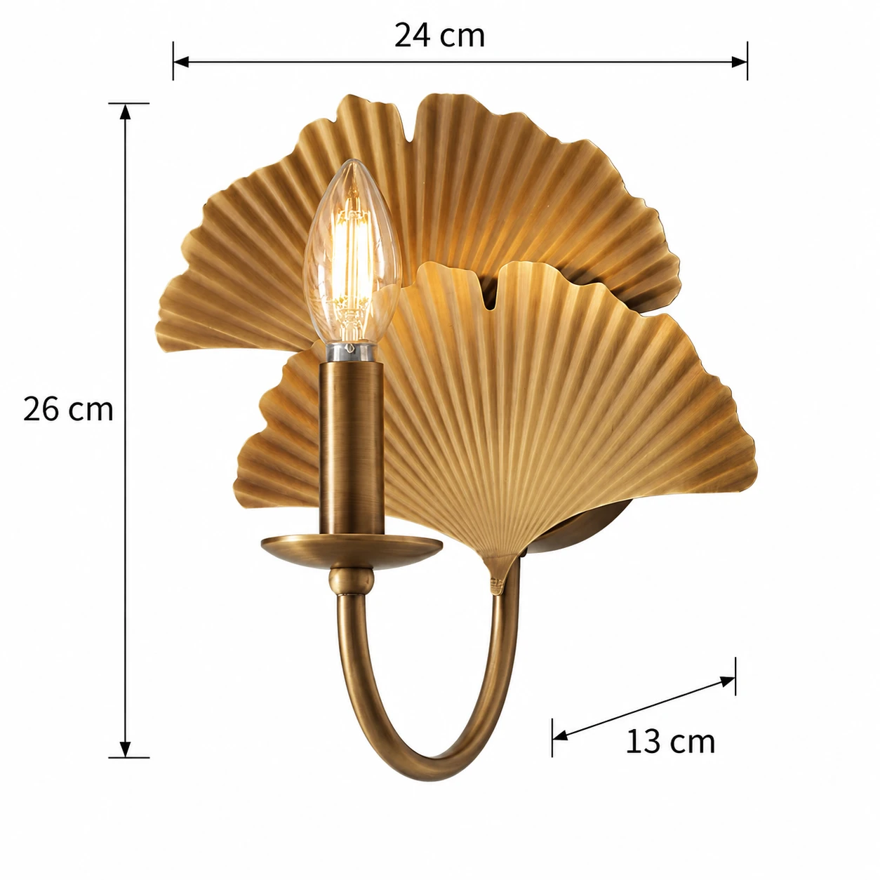 Dimensions of the exposed-bulb Elodie ginkgo wall sconce