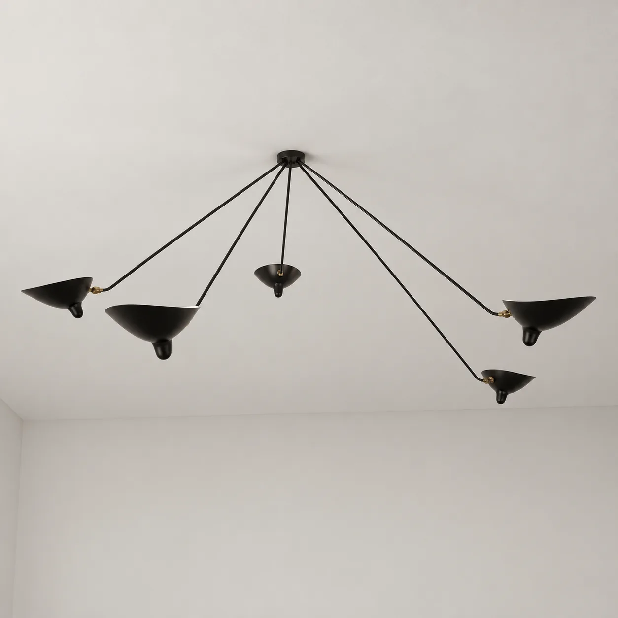 5 heads Dia165 cm H50 cm black pale ceiling studio