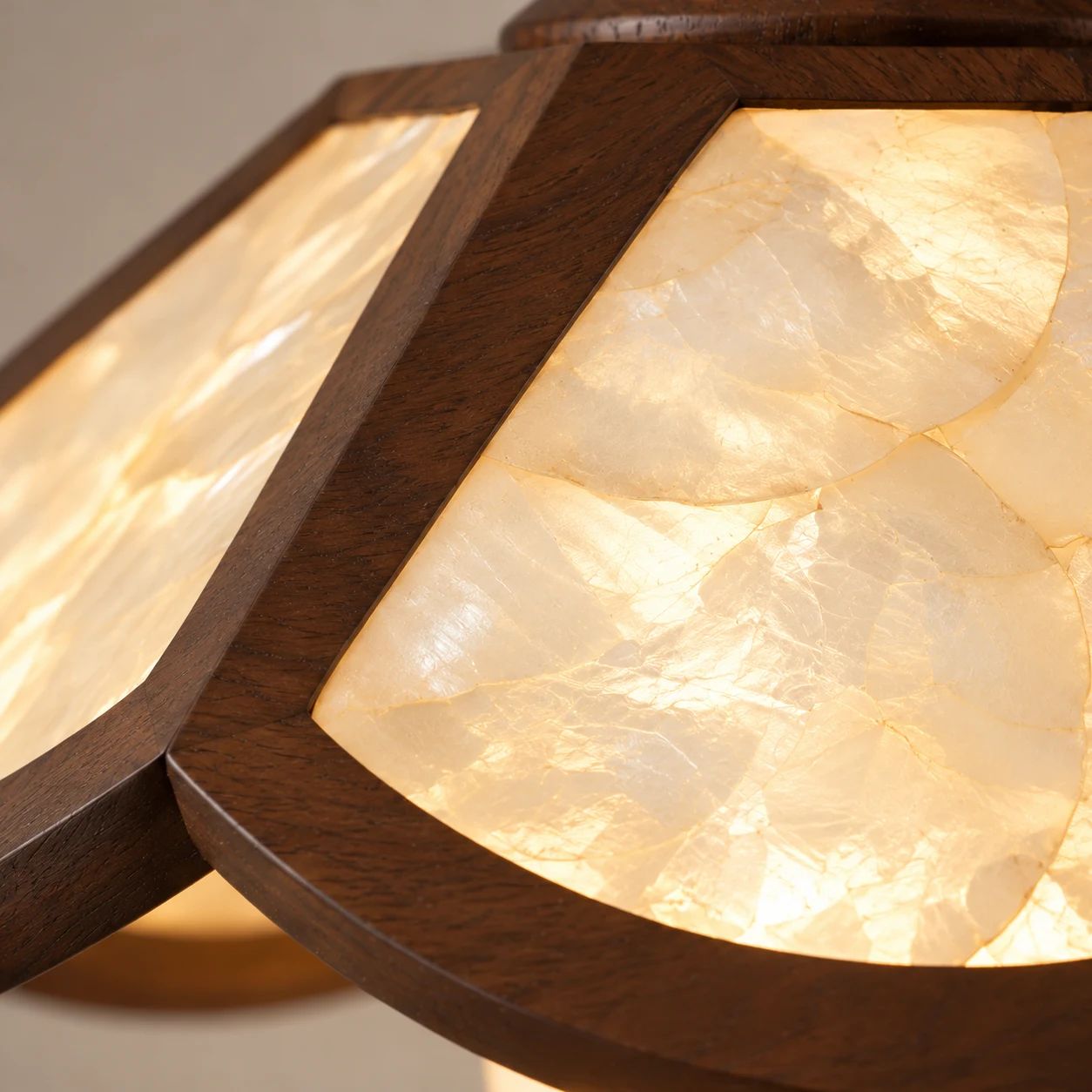 Ivory shell petal texture detail
