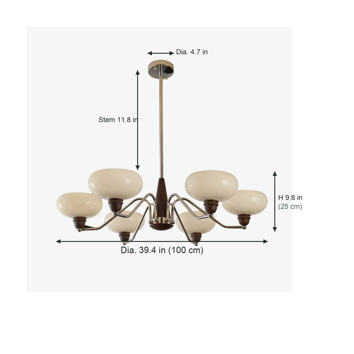 6-head dimensions