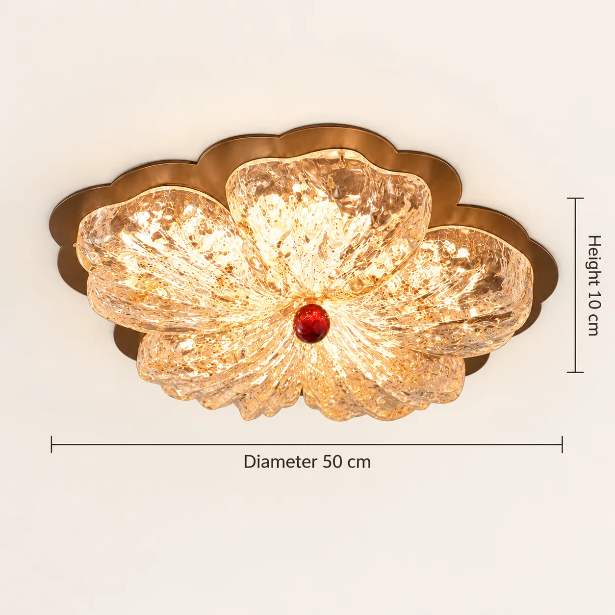 Diameter 50 cm and height 10 cm