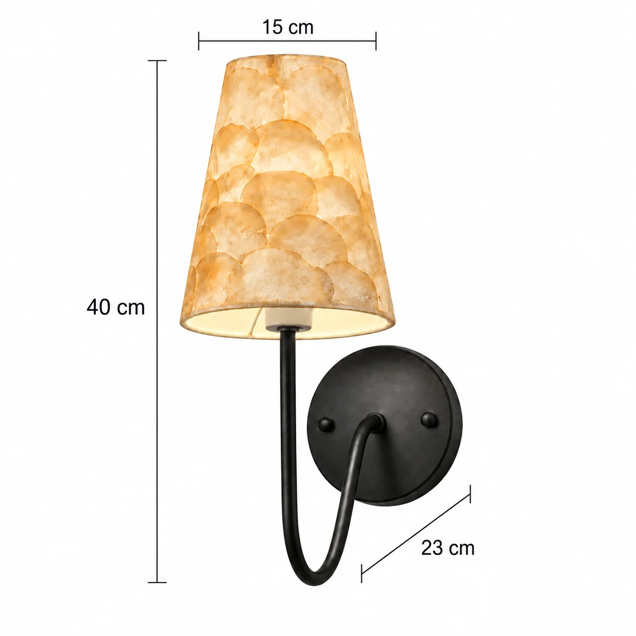 Matte black shell wall sconce with confirmed dimensions