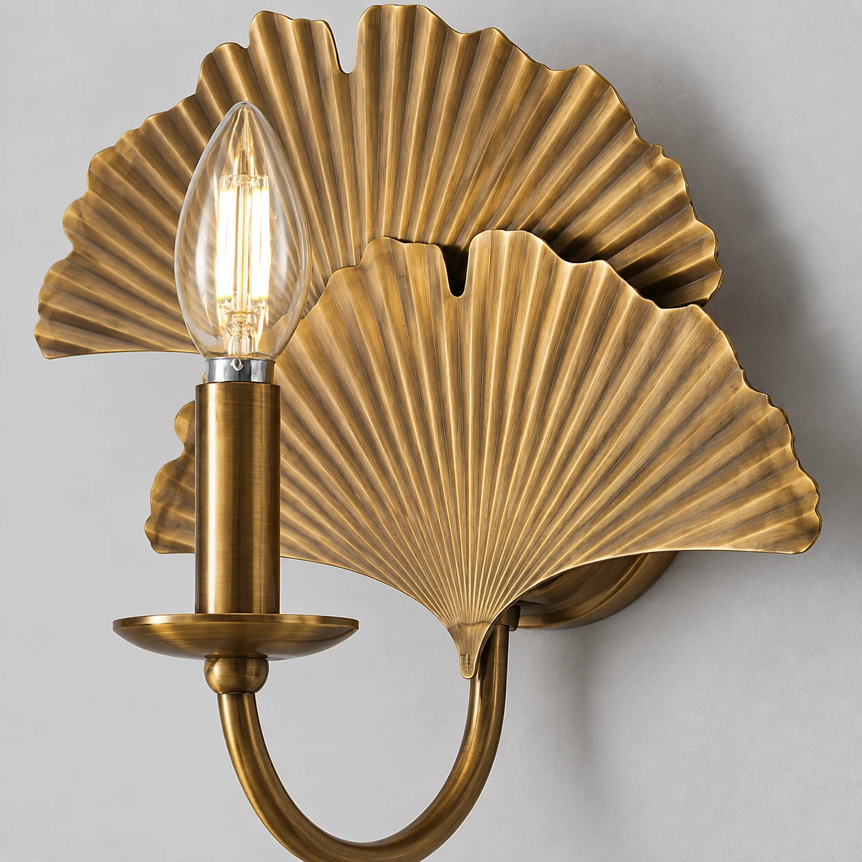 Close-up of pressed ginkgo leaf texture and vintage copper finish