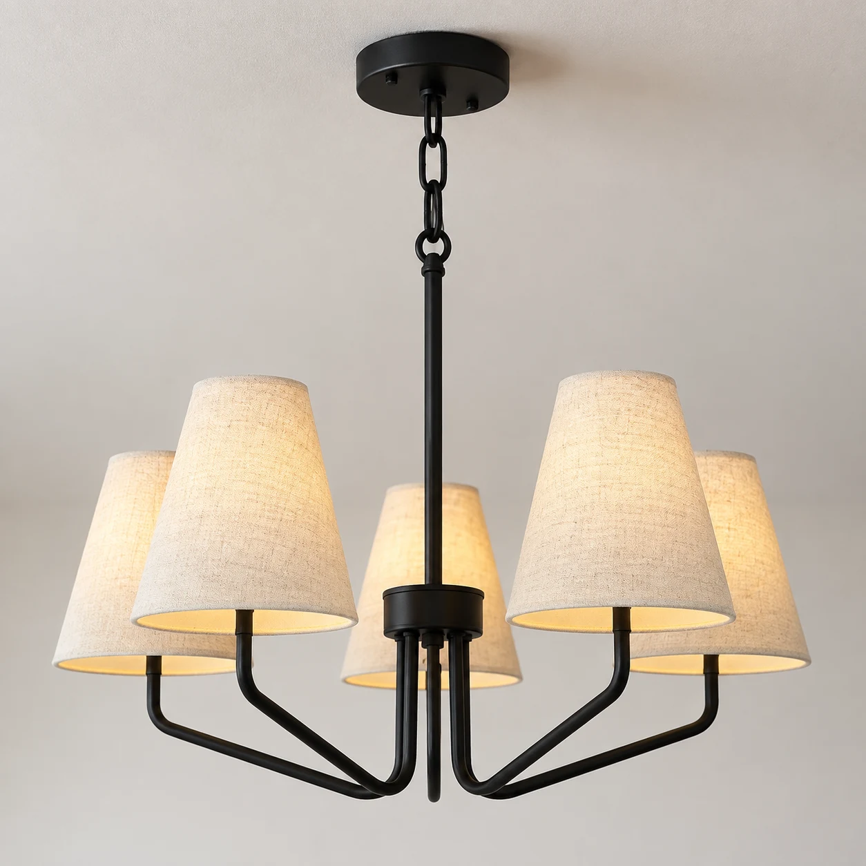 Matte black ceiling canopy and suspension connection