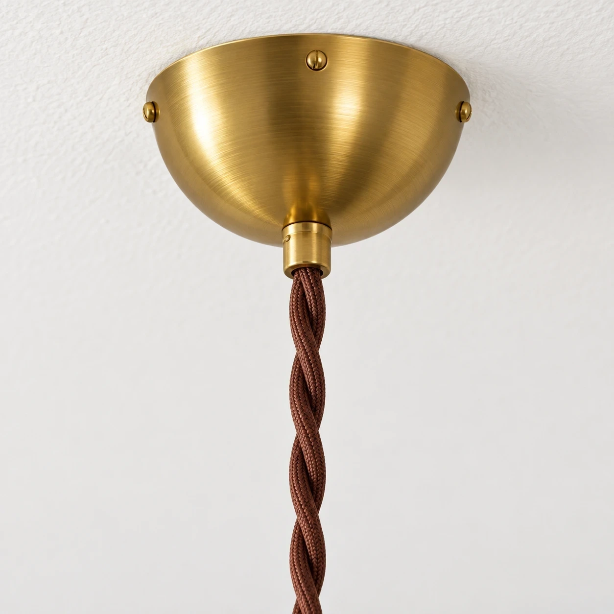 Close view of the twisted cord and round ceiling canopy