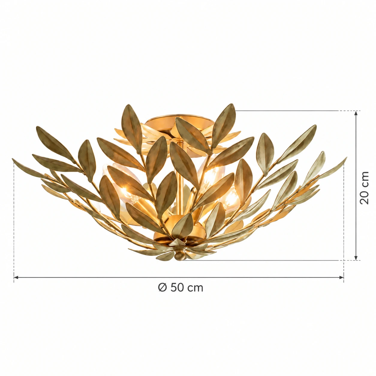 Verified dimensions: 50 cm diameter and 20 cm high